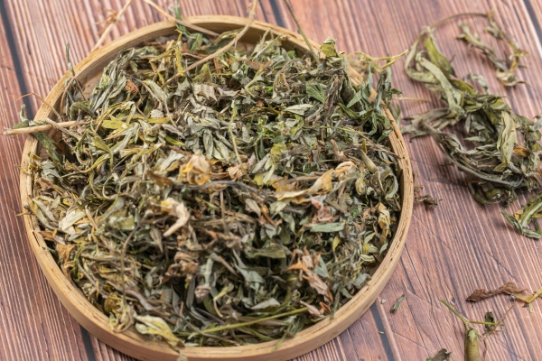 艾草洗脚能祛湿吗？ 艾草洗脚的注意事项