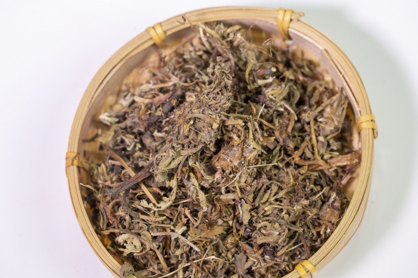 蒲公英加什么清热祛湿 蒲公英的注意事项