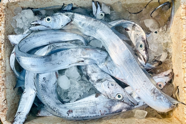 肝火旺能吃枸杞吗？ 吃什么是养肝的