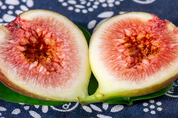 无花果湿气重可以吃吗？ 湿疹可以吃无花果吗？