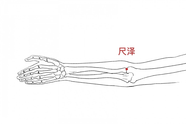 按摩尺泽穴的好处 如何找尺泽穴的准确位置