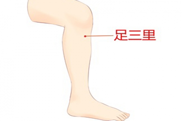 经常按摩足三里穴的好处 经常按摩足三里穴对身体有哪些副作用