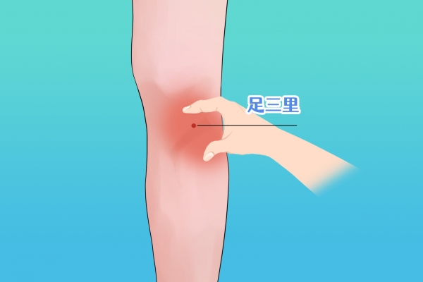 经常按摩足三里穴的好处 经常按摩足三里穴对身体有哪些副作用
