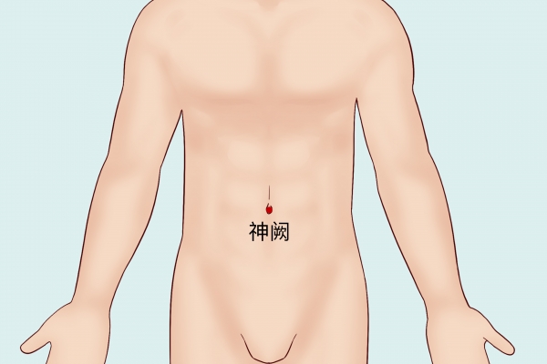 肚脐眼是什么穴位 什么是神阙穴