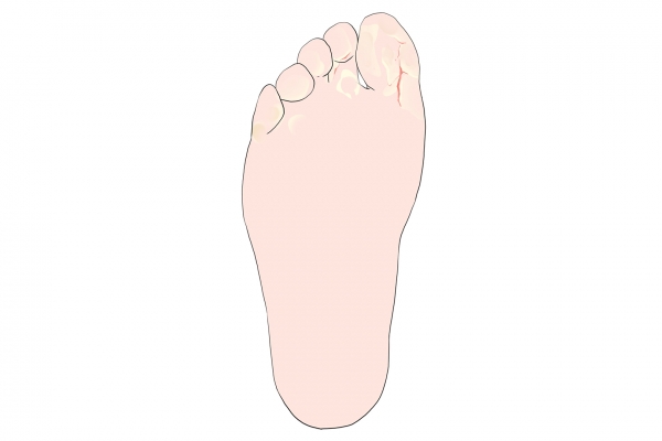 脚上有多少个穴位 脚上的各个部位