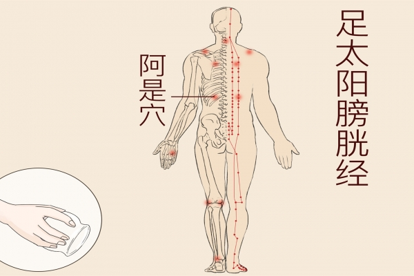 人身上有多少个穴位 人体身上有多少条经络