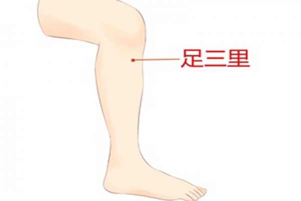 脾胃不好按摩哪个穴位 脾胃虚弱怎么调理