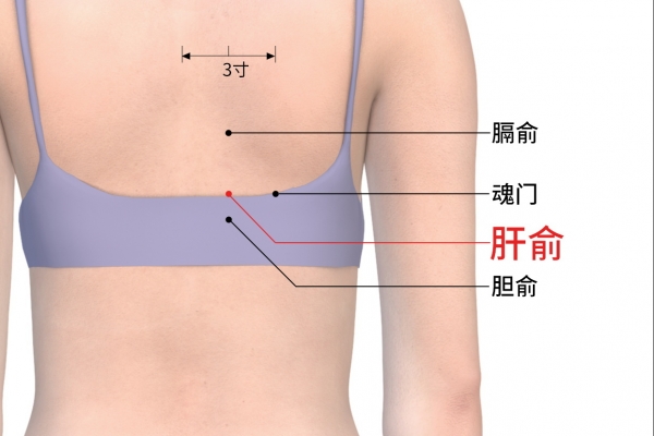 肝不好按哪个穴位 肝不好哪里疼