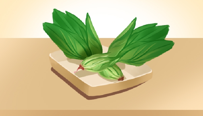 立春进补吃什么好 立春适合吃的食物