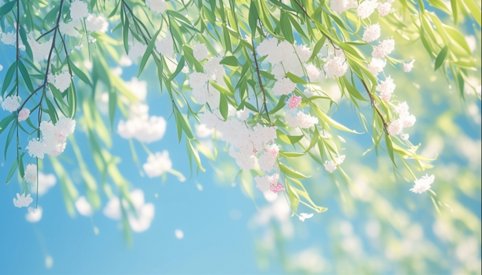 立春节气的寓意 立春节气的传统习俗