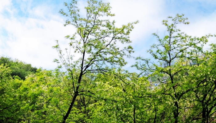 立春节气有哪些风俗 其他地区特色风俗