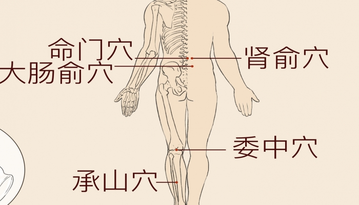 腰疼艾灸哪个穴位 腰疼艾灸的注意事项有哪些