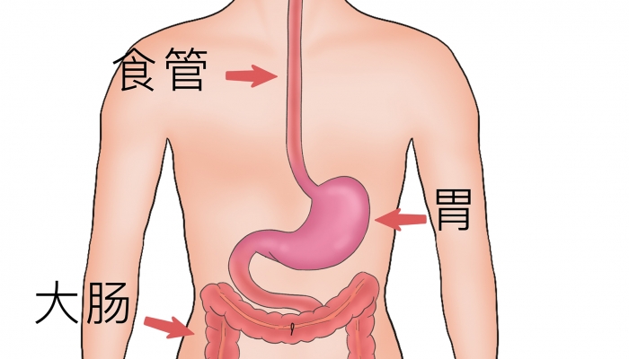 消化不良按什么穴位 胃不消化按摩哪里