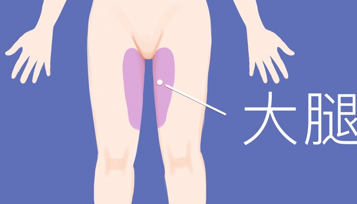 大腿内侧是什么穴位 大腿内侧是啥经络