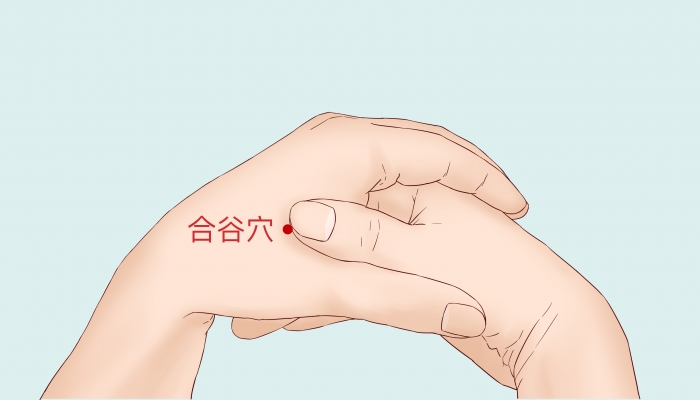 鼻子不通按什么穴位 鼻子不通气按摩哪里有用