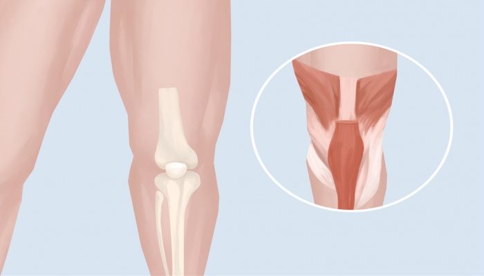膝盖下面是什么穴位 治疗膝盖疼的穴位有什么