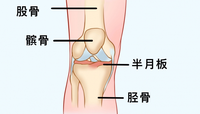 膝盖下面是什么穴位 治疗膝盖疼的穴位有什么