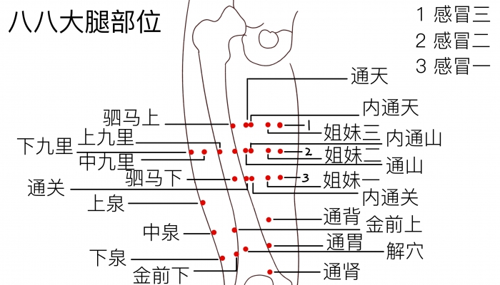 大腿根部是什么穴位 按摩大腿根部的好处