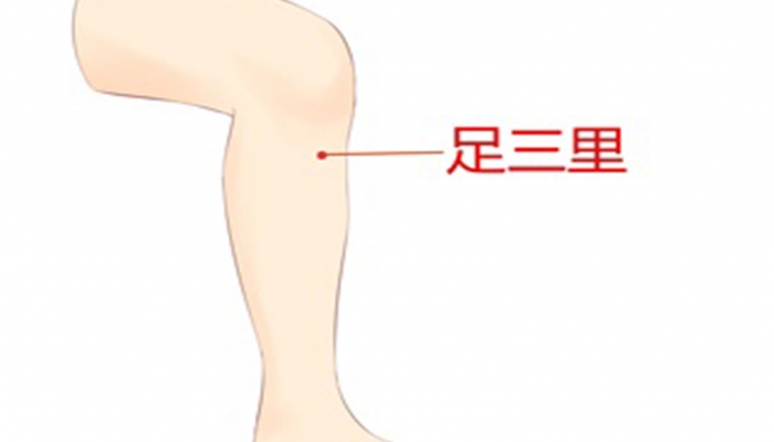 足三里穴位在哪里 足三里穴作用和功效是什么