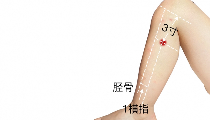 足三里穴位在哪里 足三里穴作用和功效是什么
