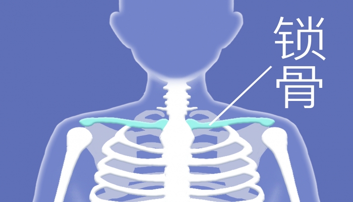 锁骨下面是什么穴位 每天按摩锁骨窝的好处