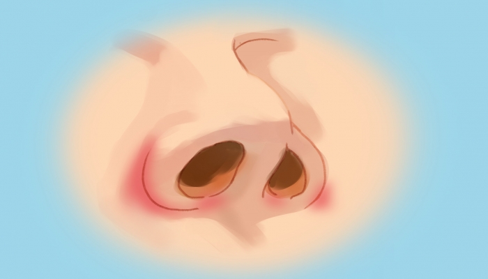 鼻子两侧是什么穴位 鼻子两侧的部位叫什么