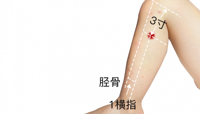 艾灸足三里的功效与作用 女人艾灸足三里的好处