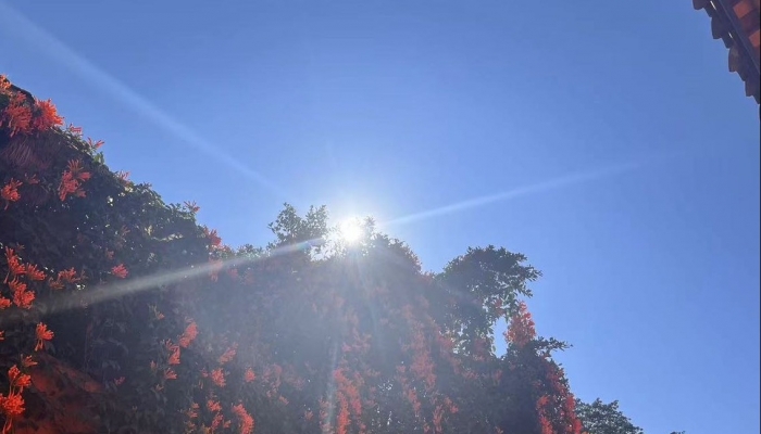 三伏天一共持续多少天 三伏天不同时长对生活的影响
