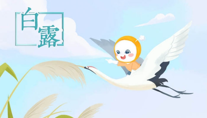 白露节气气温有什么特点 白露节气生活注意事项