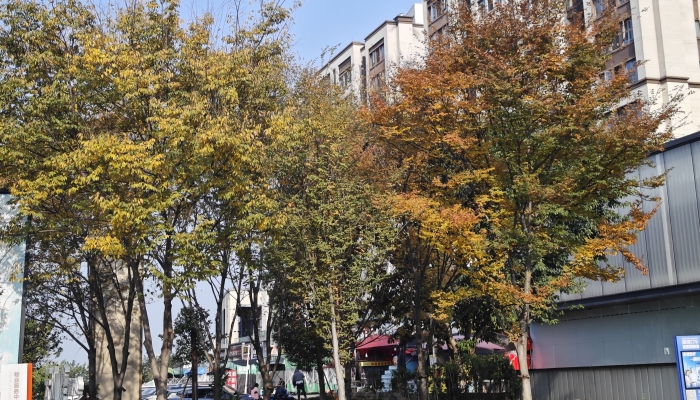 白露节气物候有哪些特点 白露节气的物候特点
