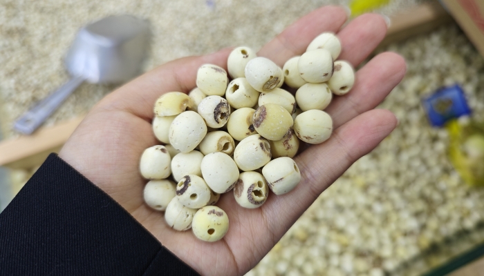 白露吃莲子能助眠安神吗？ 莲子的食用方法