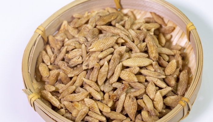 白露吃麦冬能有效防秋燥吗？ 麦冬的营养价值