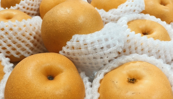 白露养生吃什么能防皮肤干燥 白露养生日常饮食推荐