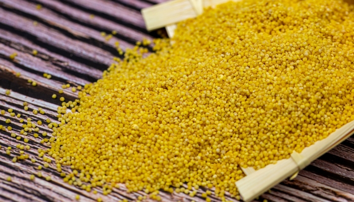 白露饮食养生推荐红枣小米粥吗？ 红枣小米粥的养生益处