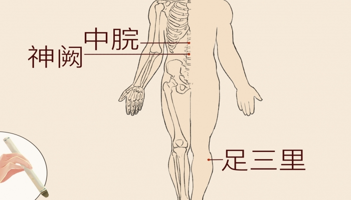 白露艾灸足三里穴能养生吗？ 白露艾灸足三里穴的好处