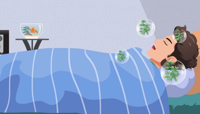 白露艾灸选上午还是下午好 白露上午艾灸的好处