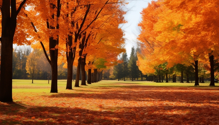 秋分阴虚体质适合啥养生法 秋分阴虚体质的养生原则