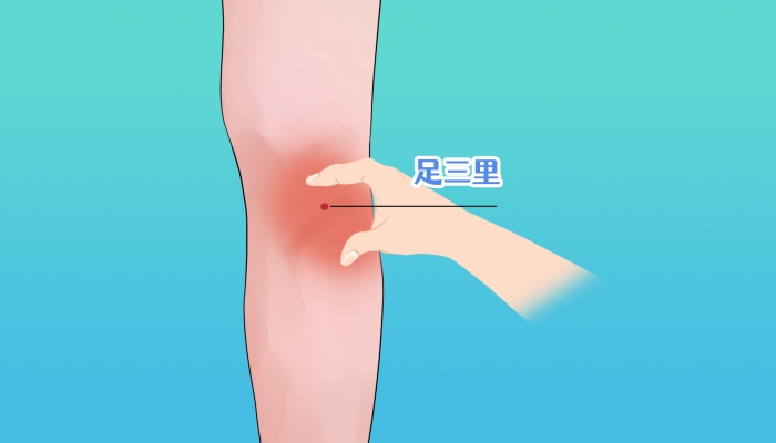 秋分按足三里助养生吗？ 秋分按足三里的好处