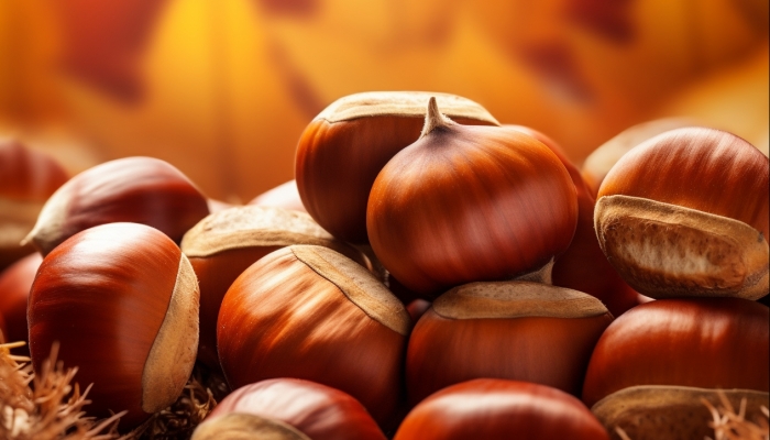 寒露吃栗子能助养生吗？ 栗子的营养优势