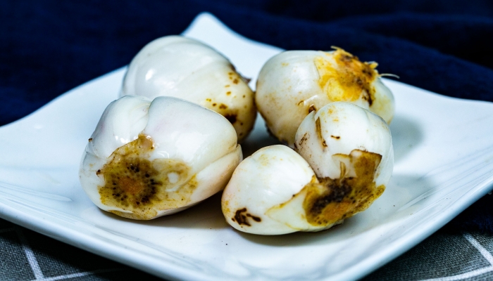 寒露喝百合粥养生吗？ 寒露养生还要注意什么