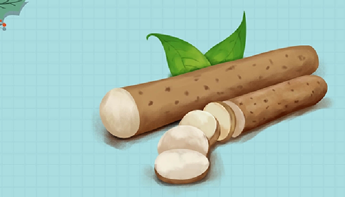 寒露养生要注意吃山药健脾吗？ 山药为什么适合寒露养生