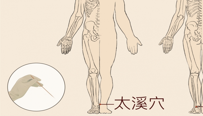寒露艾灸太溪穴适合养生吗？ 艾灸太溪穴的正确打开方式