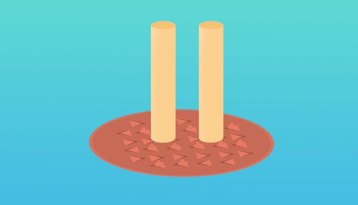 寒露气虚体质艾灸养生有用吗？ 寒露艾灸养生需要注意什么