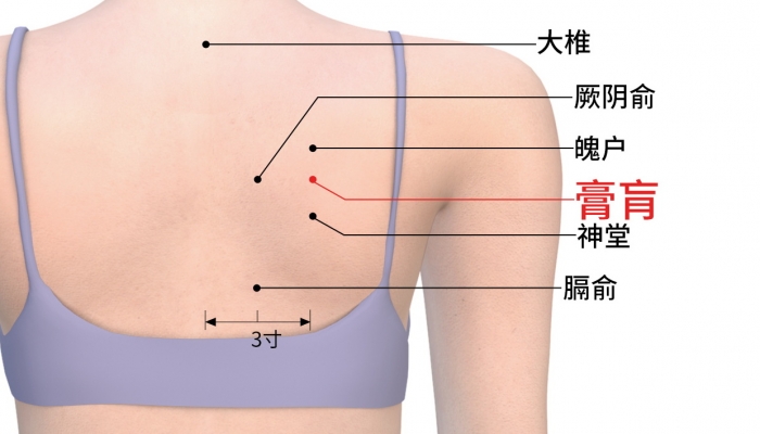 寒露艾灸膏肓穴能护肺吗？ 膏肓穴的养生作用