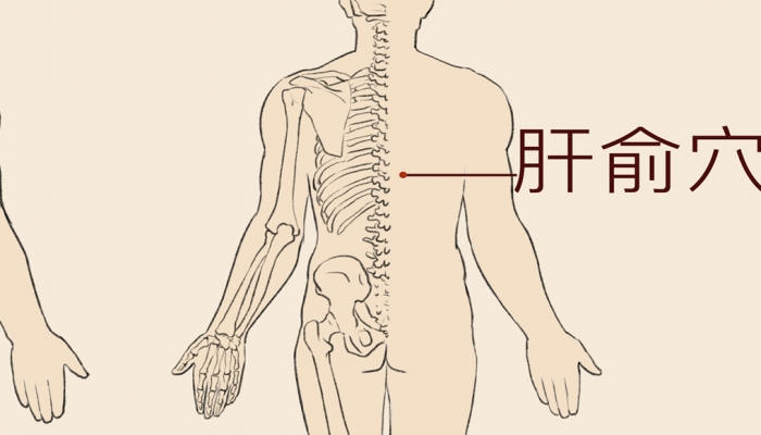 寒露阴虚体质能艾灸肝俞穴吗？ 艾灸肝俞穴的作用