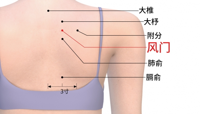 寒露艾灸风门穴防感冒吗？ 风门穴在养生中的意义