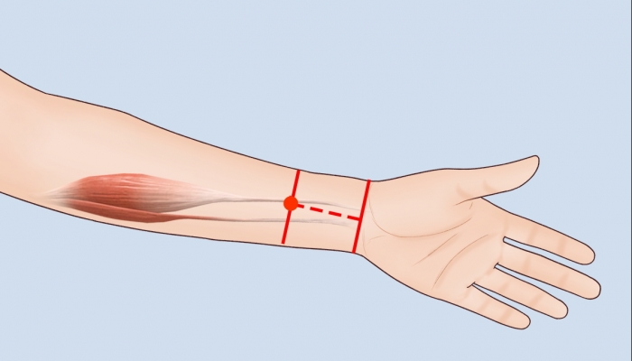 寒露艾灸内关穴能护心吗？ 寒露艾灸内关穴要注意什么