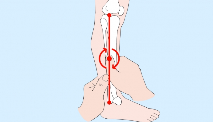 寒露艾灸丰隆穴能祛湿吗？ 寒露养生与祛湿
