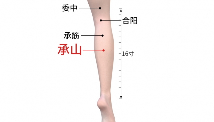 寒露艾灸承山穴能祛湿吗？ 承山穴的养生特点