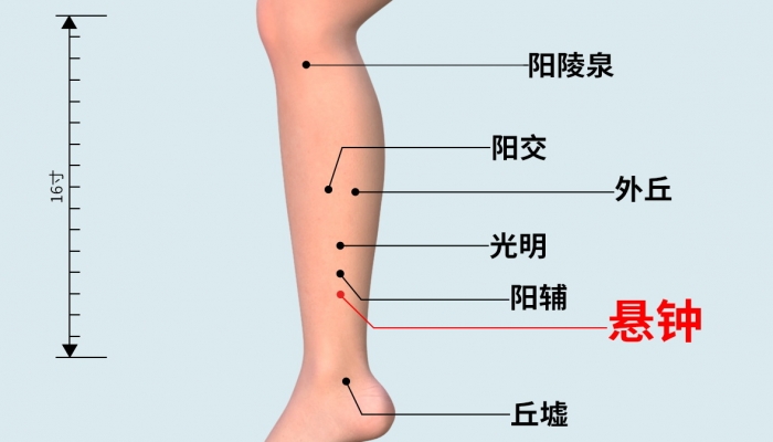 寒露艾灸悬钟穴护关节吗？ 悬钟穴的位置和特点